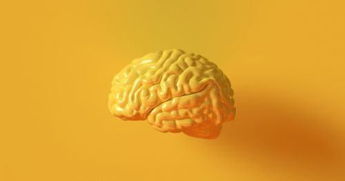 Cognitive neuroscience: the basics