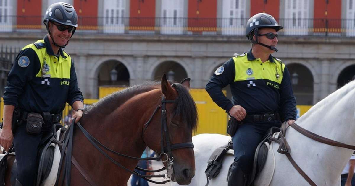behavioral-tests-select-police-horses