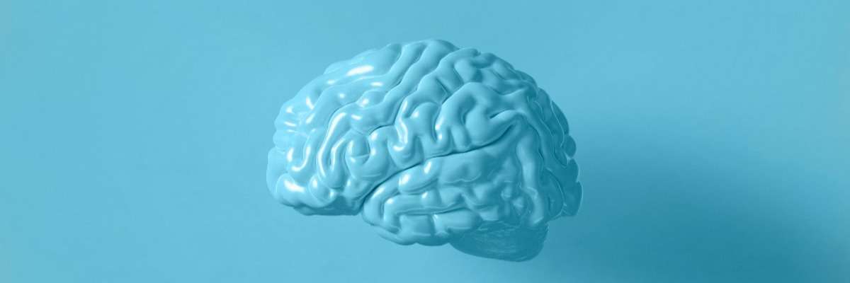 Cognitive neuroscience: Behavior