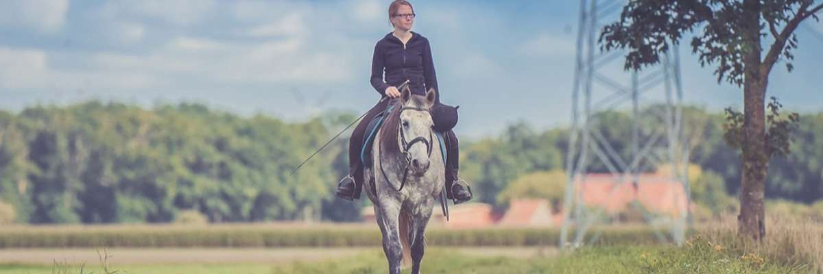 Which head and neck positions are stressful for your horse during lunging?